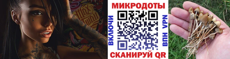 Псилоцибиновые грибы ЛСД Бузулук