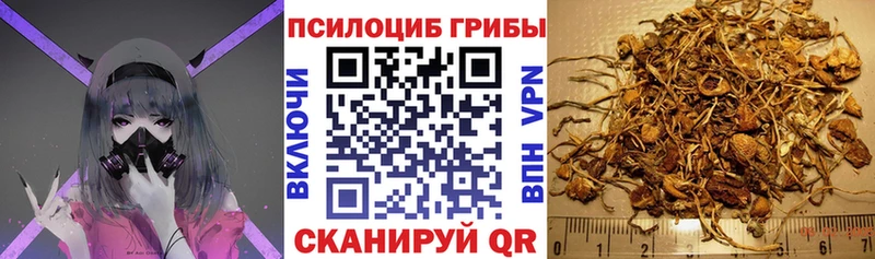 Галлюциногенные грибы мицелий  Купить  Бузулук 